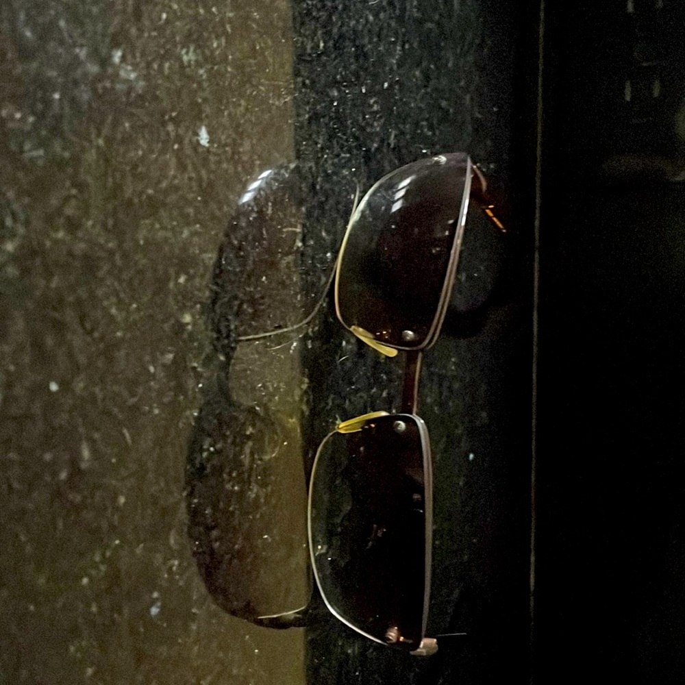 Max Mara sunglasses.